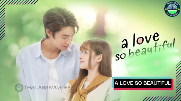 A Love So Beautiful - Dàn Diễn Viên | Nội Dung Chi Tiết