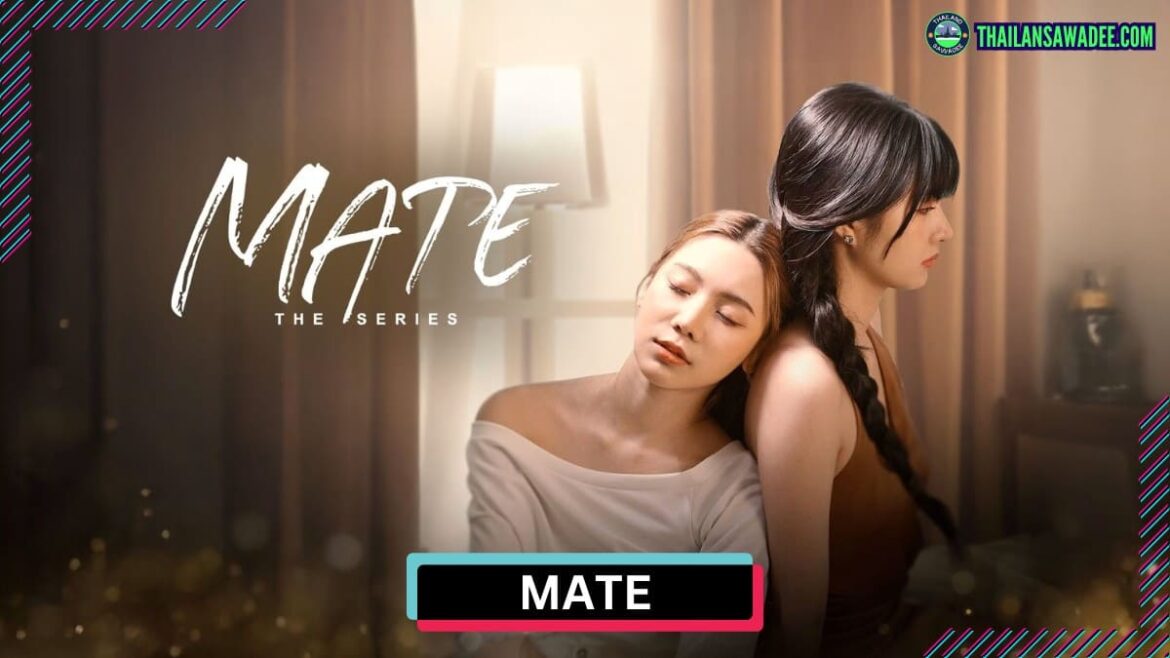 Mate The Series (2024) Dàn diễn viên và nội dung