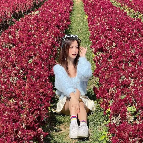 Profile June Pornpawee Upatum