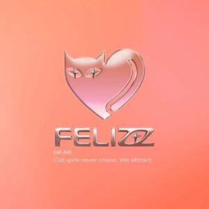 FELIZZ logo