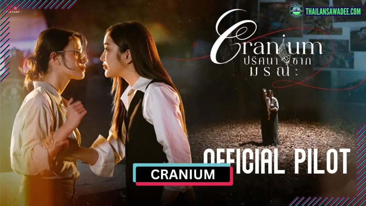 Cranium The Series | Dàn diễn viên và nội dung