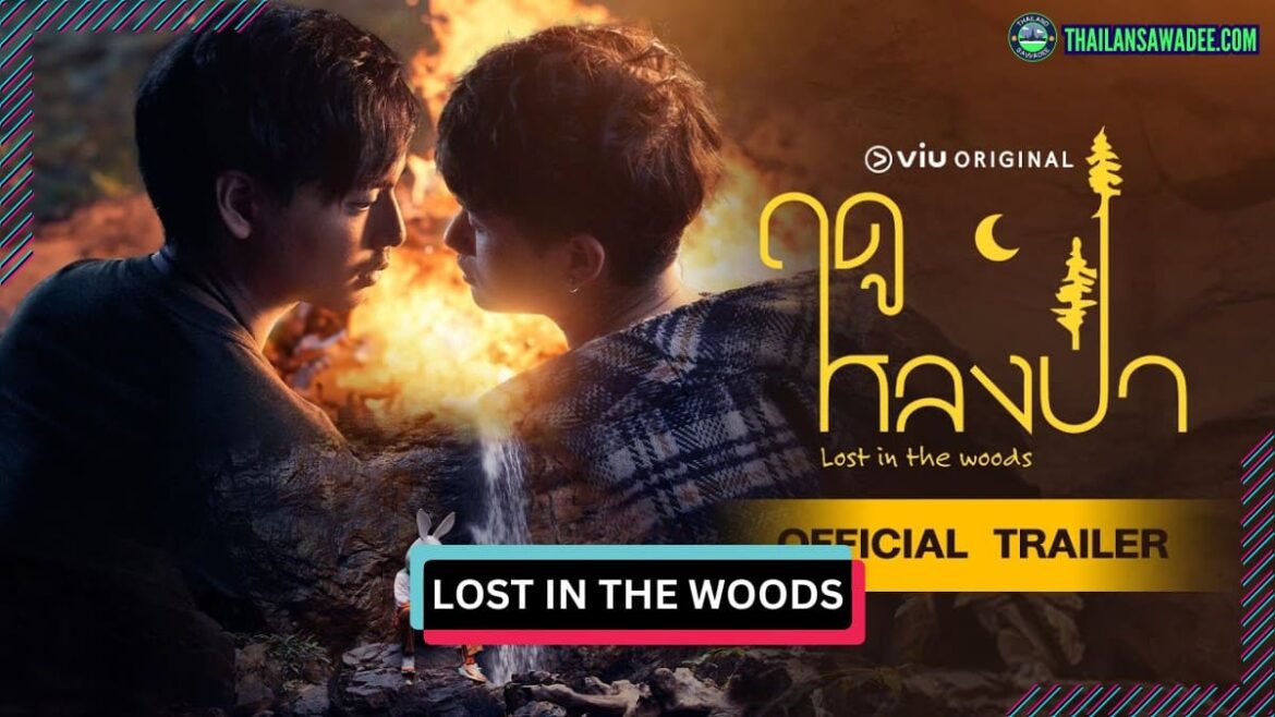 Lost in the Woods (2025) | Dàn diễn viên và nội dung
