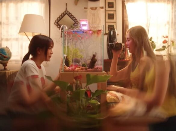 Dàn diễn viên trong phim Love’s Echoes