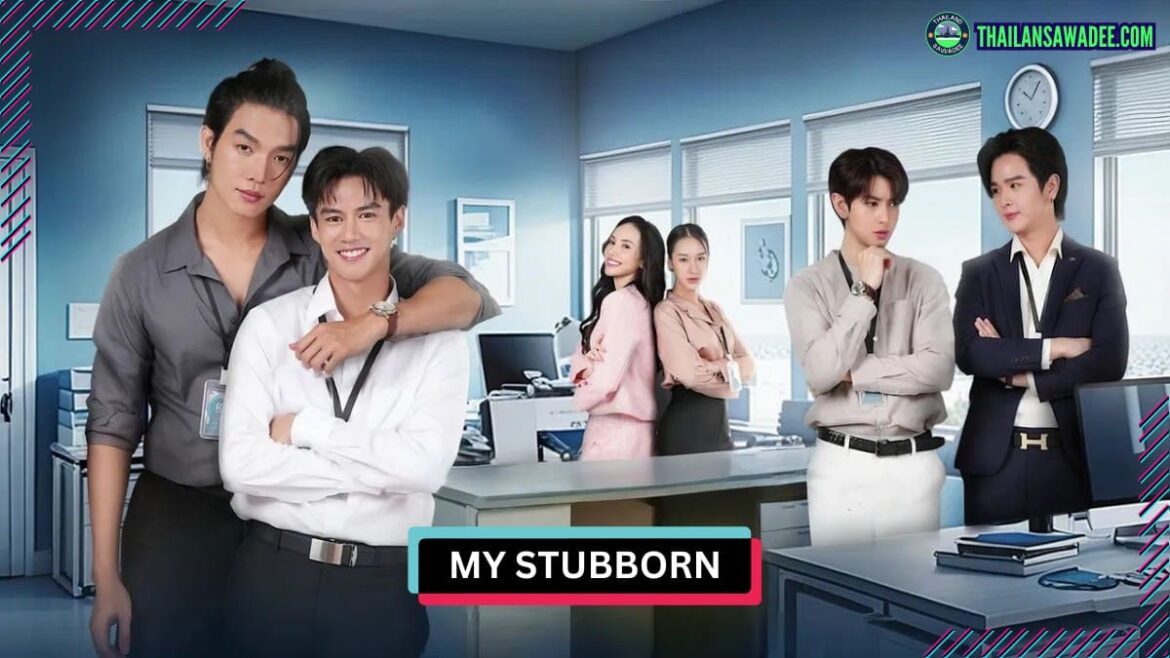 My Stubborn (2025) | Dàn diễn viên và nội dung