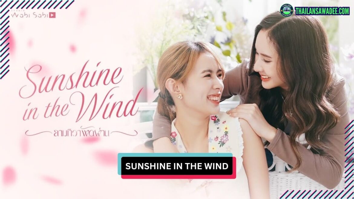 Sunshine in the Wind | Dàn diễn viên và nội dung