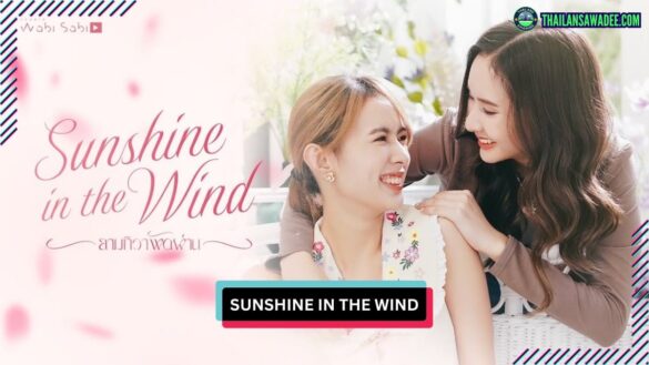 Sunshine in the Wind | Dàn diễn viên và nội dung
