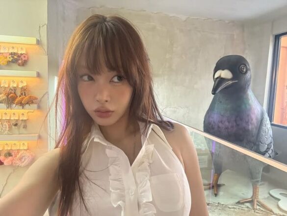 wikipedia pakpai pareena busayasiri 585x439 1