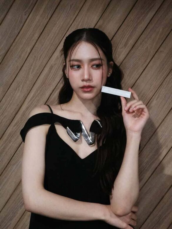 wikipedia-palm-paramee-luengnaruemitchai Wikipedia Palm Paramee Luengnaruemitchai