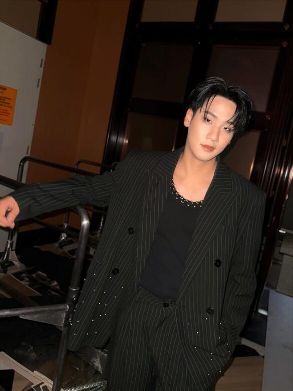 wikipedia-ping-orbnithi-leelavetchabutr Wikipedia Ping Orbnithi Leelavetchabutr