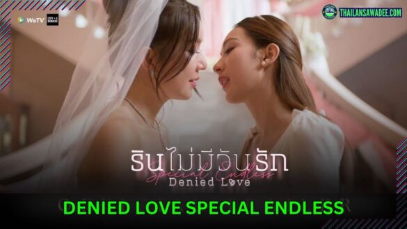 Denied Love Special Endless (2026) Dàn diễn viên và nội dung