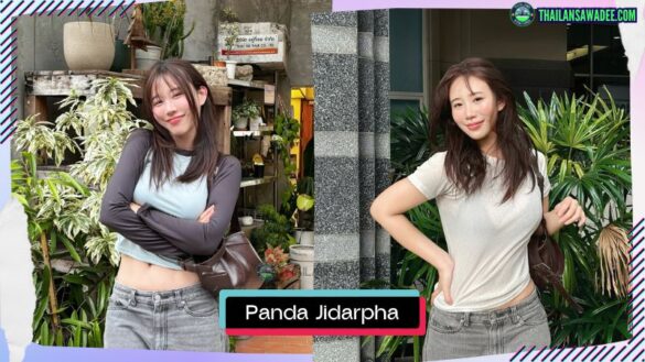 Panda Jidarpha Chamchooy | Hồ sơ và con đường sự nghiệp