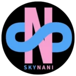 SkyNani logo