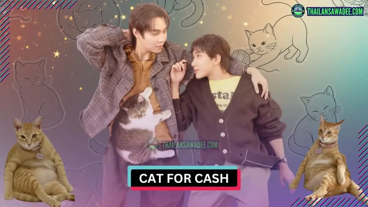 Cat For Cash (2026) | Dàn diễn viên và nội dung