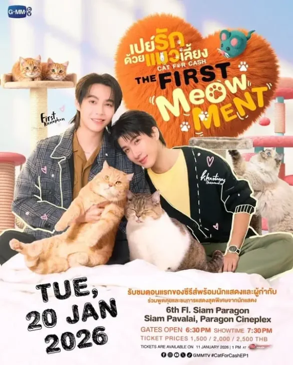 Thư viện ảnh của Cat For Cash Poster