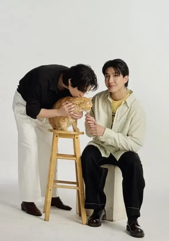 Thư viện ảnh của Cat For Cash fitting