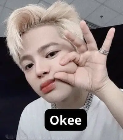 anh-dim-rhyder-co-chu-2 Ảnh dìm Rhyder có chữ meme vô tri