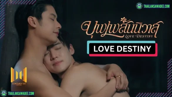 Love Destiny The Series (2026) Dàn diễn viên và nội dung